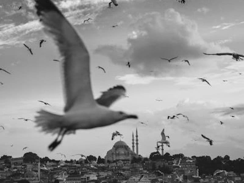 Turkey, The eastern heaven