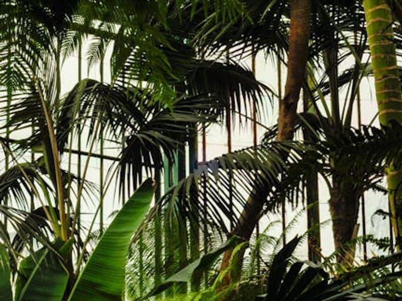 Discover Three Leading Sights in Brussels, Belgium