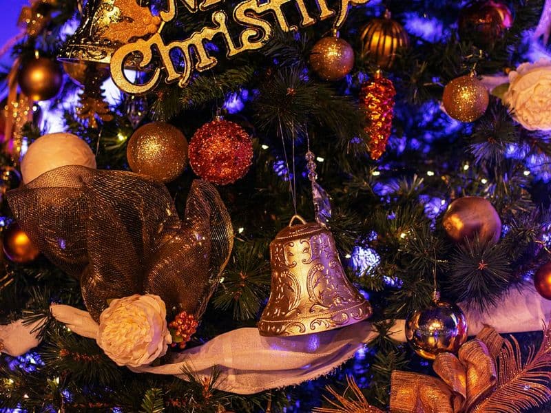 Feliz Navidad a Todos